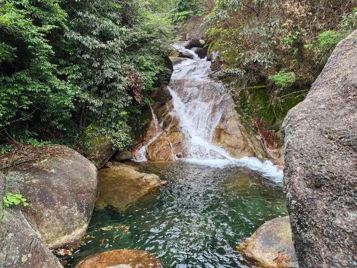 小熊救援